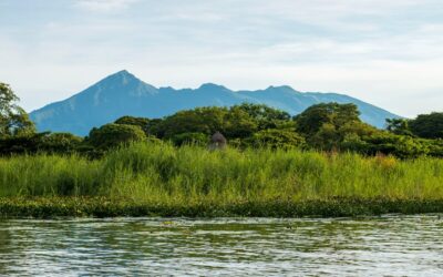 Lifting Sin Cirugía en Valencia: La Solución Moderna para un Rostro Rejuvenecido